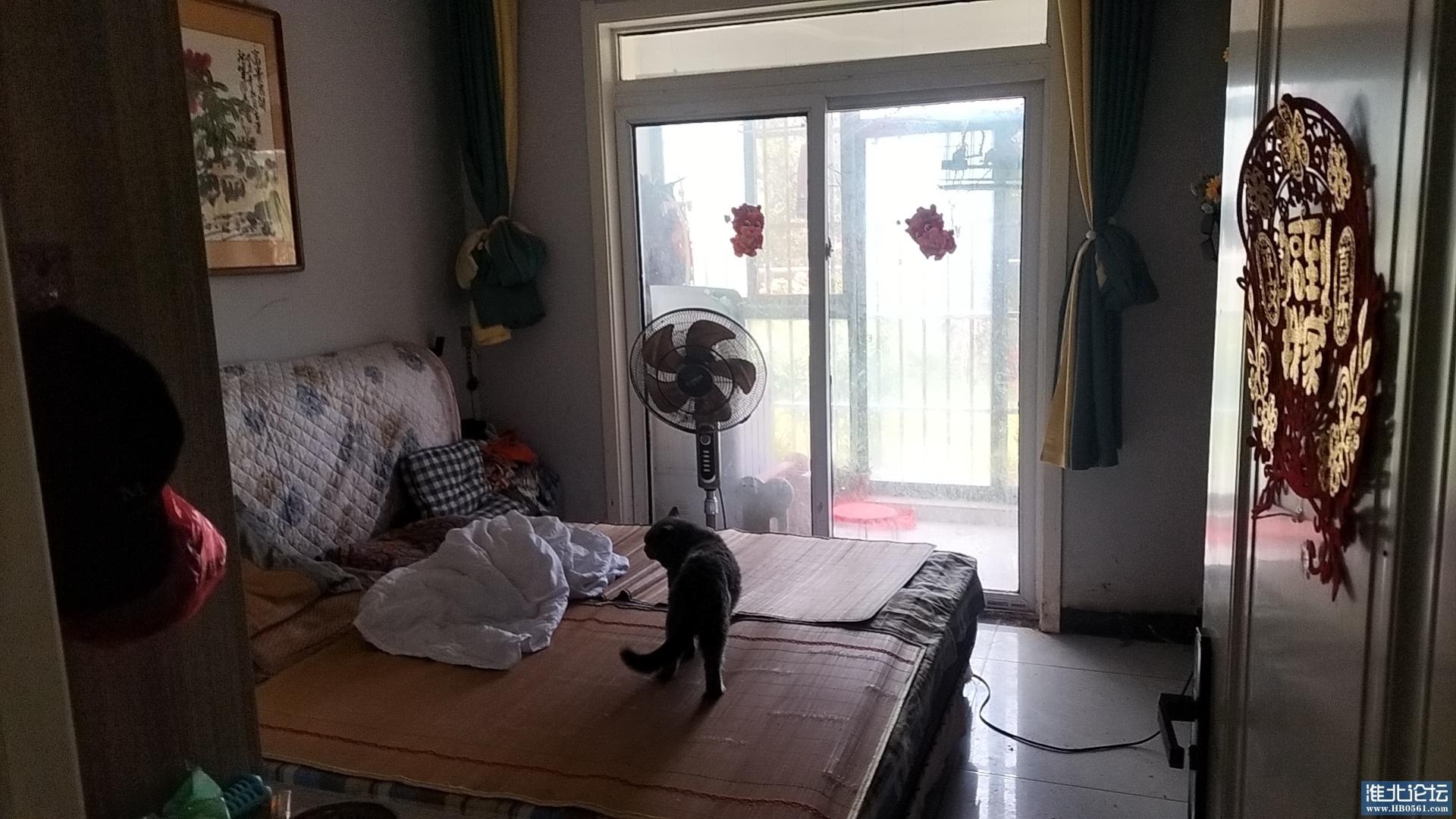 wx_camera_1721701149753.jpg