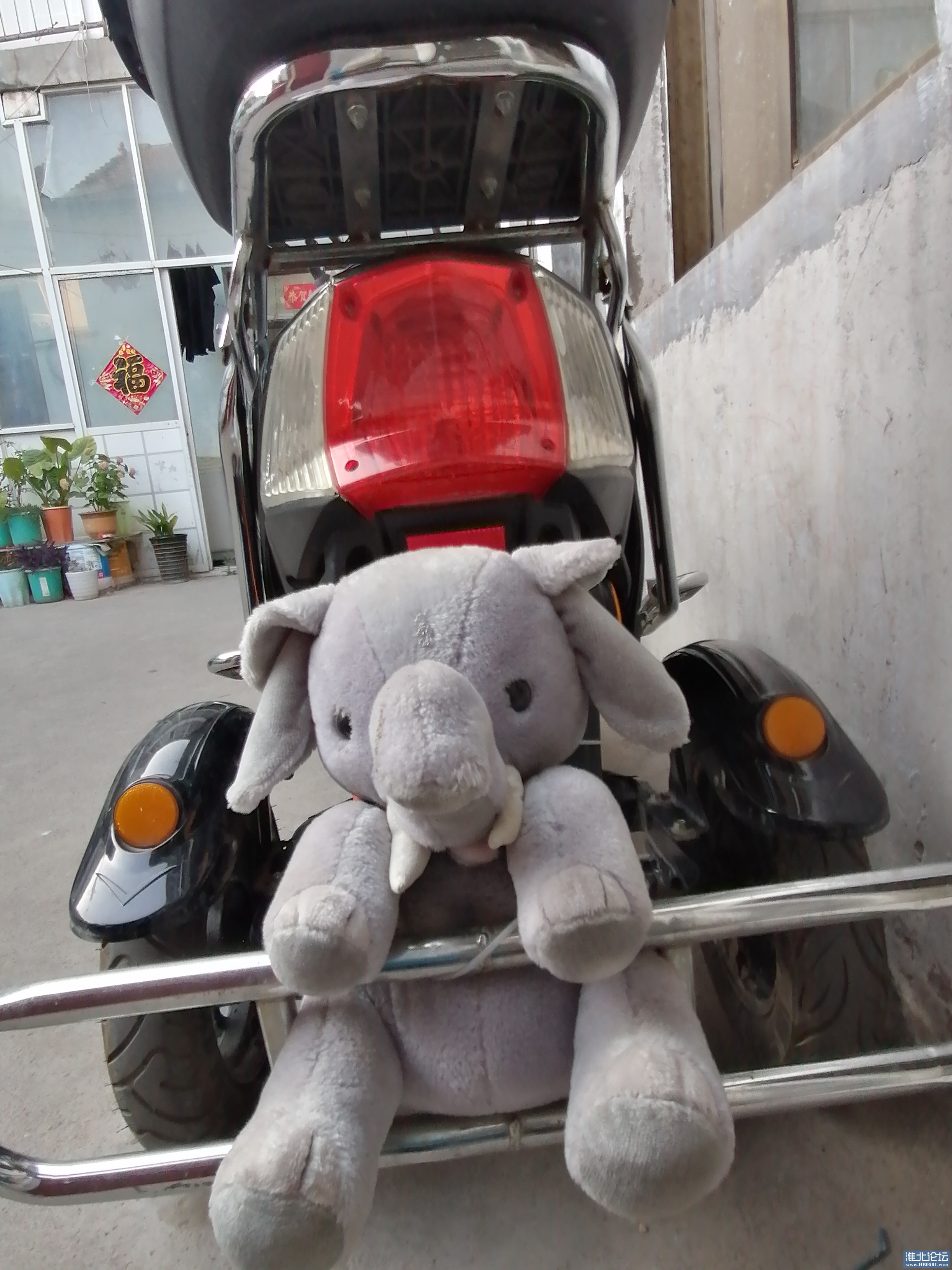 IMG_20250428_175252.jpg