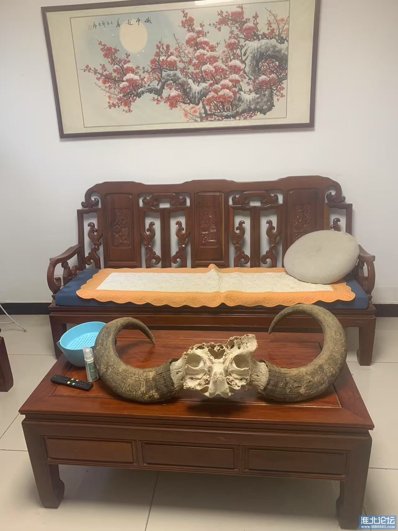 微信图片_20250612134350.jpg